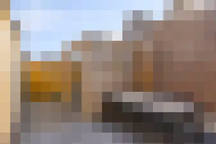 Bergh 2 Boxmeer thumbnail 31