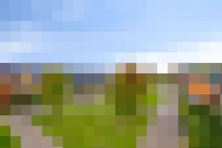 Bergh 2 Boxmeer thumbnail 39