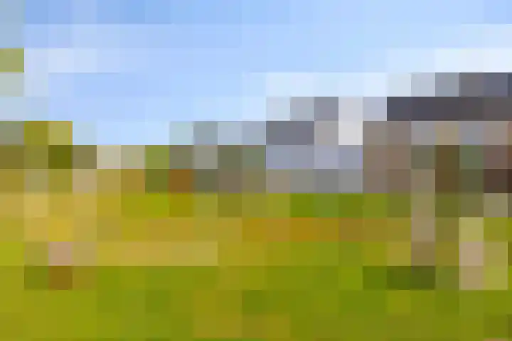 Bergh 2 Boxmeer thumbnail 40
