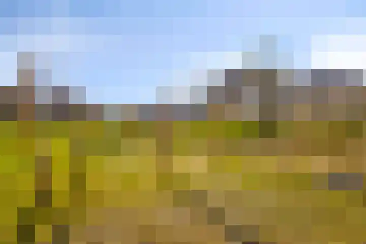 Bergh 2 Boxmeer thumbnail 41