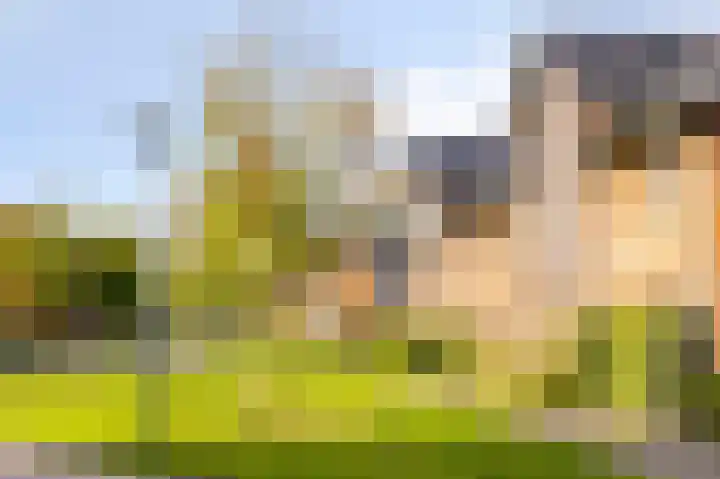 Bergh 2 Boxmeer thumbnail 42