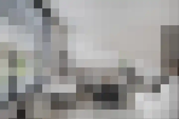 Bergh 2 Boxmeer thumbnail 6