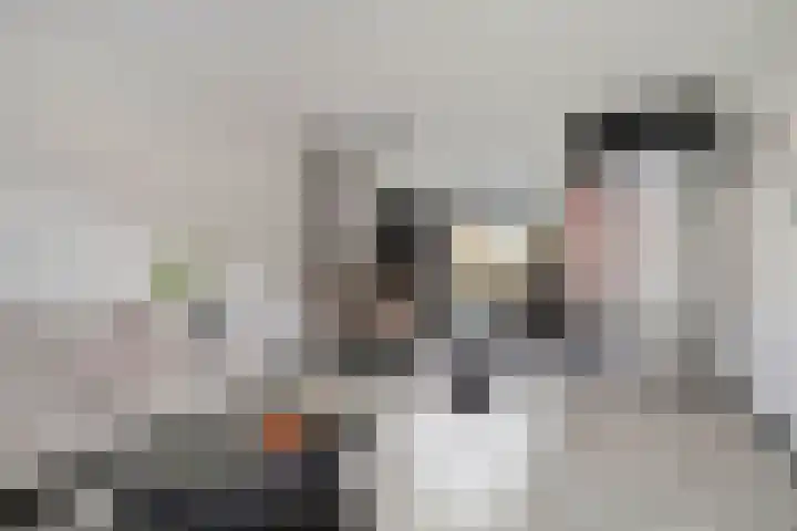 Bergh 2 Boxmeer thumbnail 8