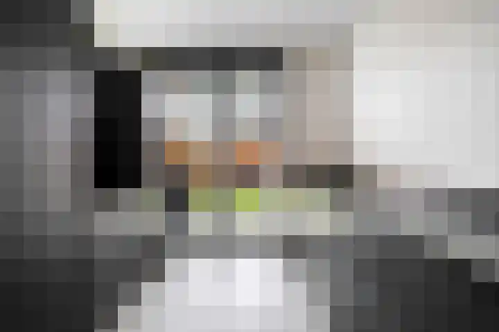Bergh 2 Boxmeer thumbnail 9