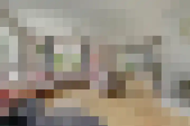 Bergh 5 Emmeloord thumbnail 11