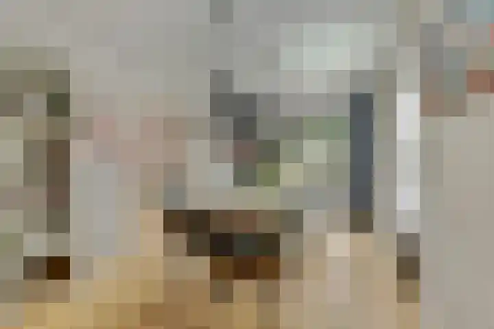 Bergh 5 Emmeloord thumbnail 13
