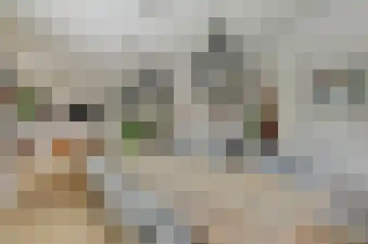 Bergh 5 Emmeloord thumbnail 14