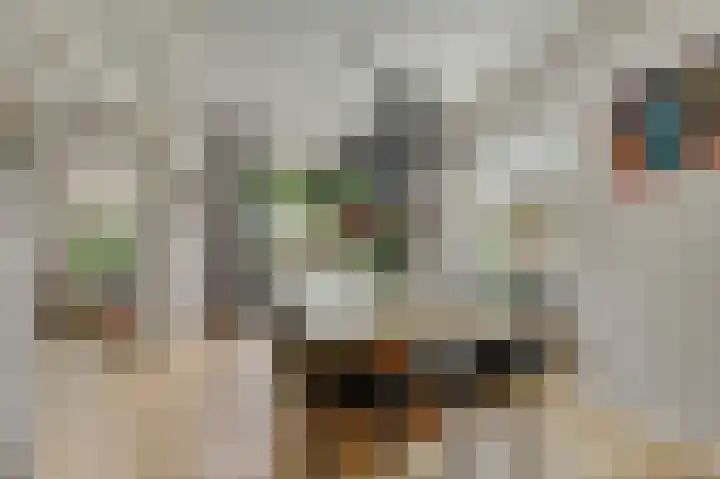 Bergh 5 Emmeloord thumbnail 15