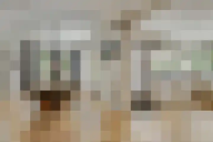 Bergh 5 Emmeloord thumbnail 16