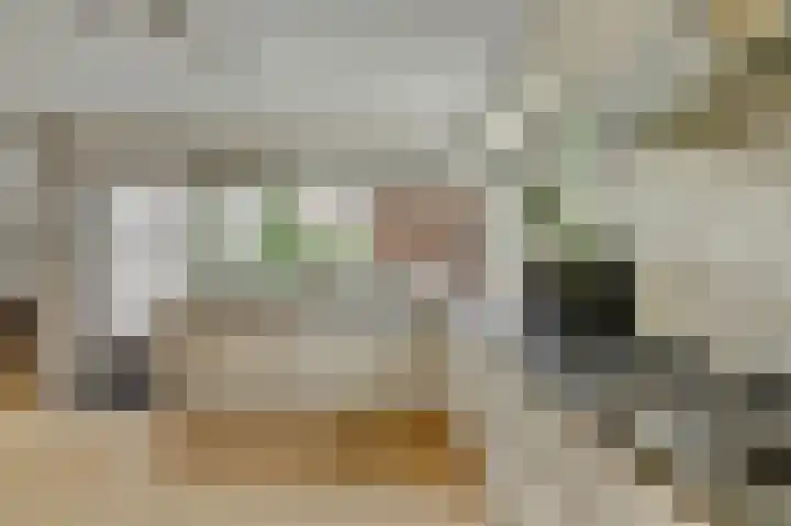 Bergh 5 Emmeloord thumbnail 18