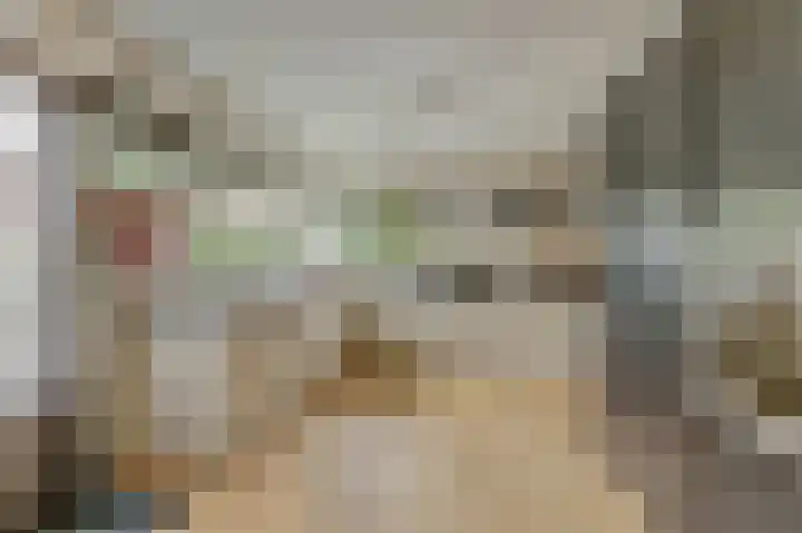 Bergh 5 Emmeloord thumbnail 19