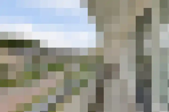 Bergh 5 Emmeloord thumbnail 23
