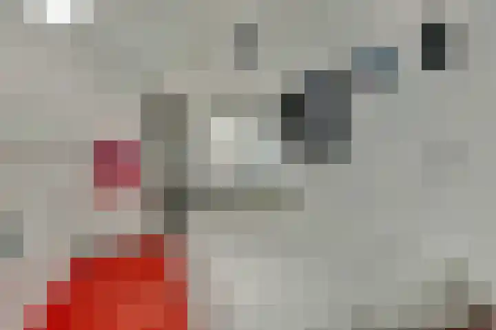 Bergh 5 Emmeloord thumbnail 24