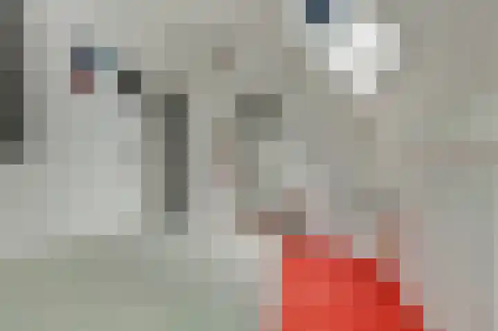 Bergh 5 Emmeloord thumbnail 25