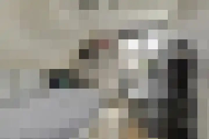 Bergh 5 Emmeloord thumbnail 26