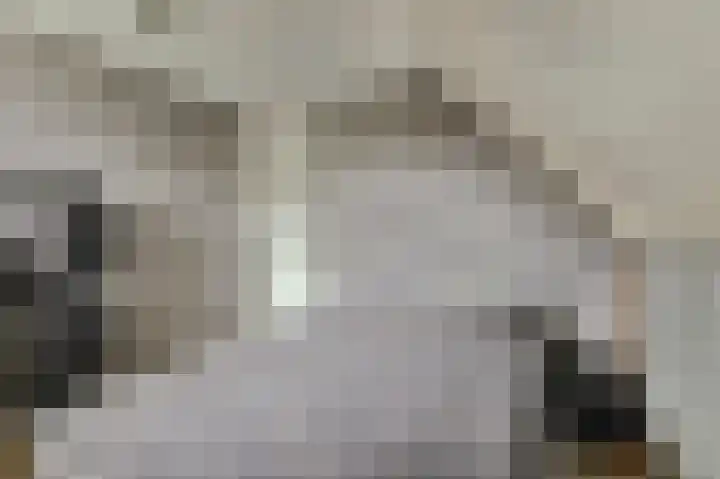 Bergh 5 Emmeloord thumbnail 27