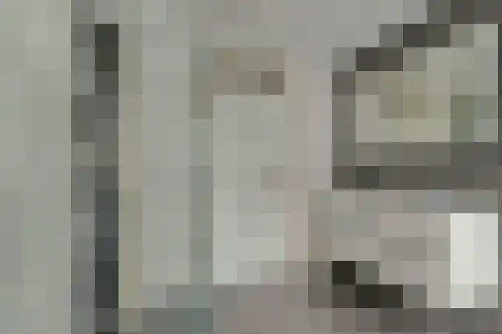 Bergh 5 Emmeloord thumbnail 29