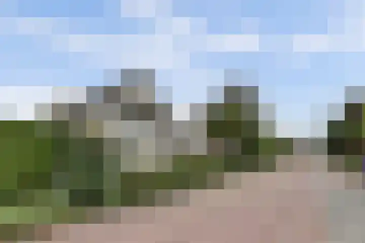 Bergh 5 Emmeloord foto 3