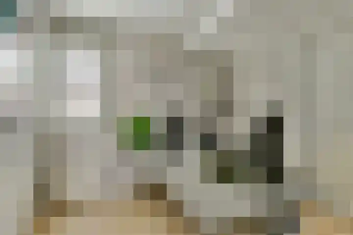 Bergh 5 Emmeloord thumbnail 32