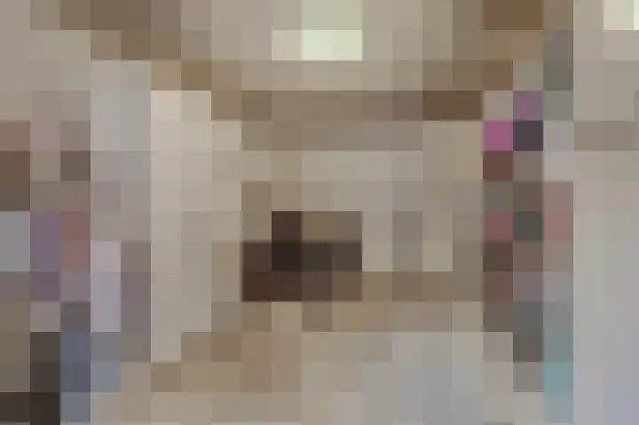 Bergh 5 Emmeloord thumbnail 36