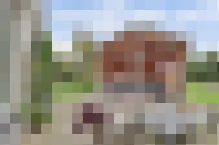 Bergh 5 Emmeloord thumbnail 38