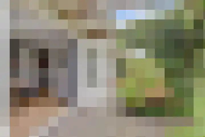 Bergh 5 Emmeloord thumbnail 39