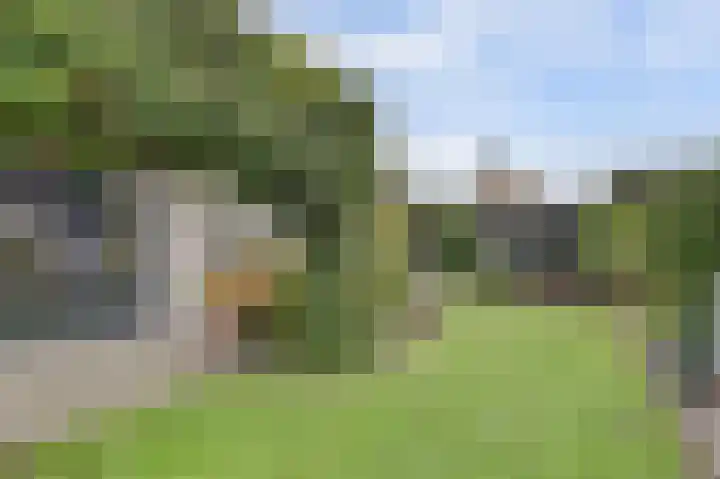 Bergh 5 Emmeloord thumbnail 43
