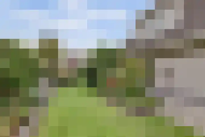 Bergh 5 Emmeloord thumbnail 44