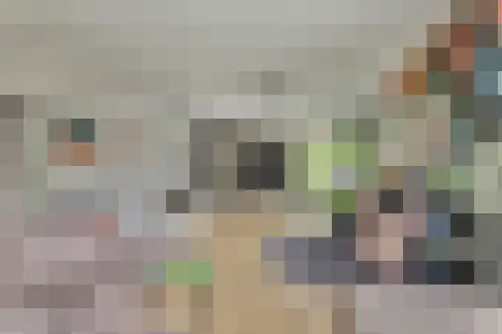 Bergh 5 Emmeloord thumbnail 7