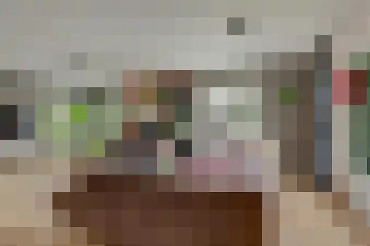 Bergh 5 Emmeloord thumbnail 9