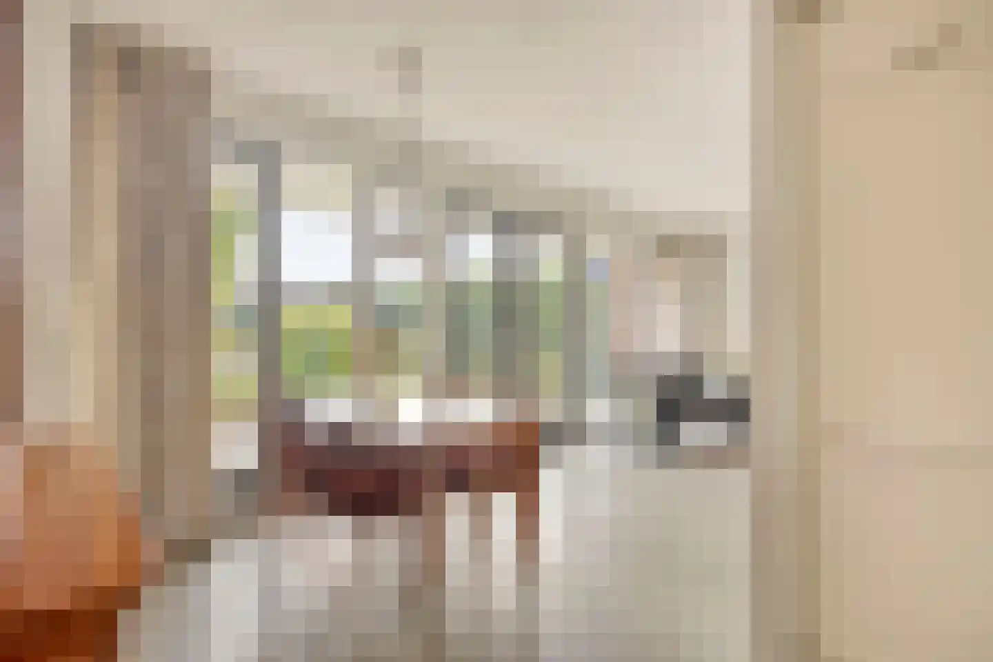 Berghallee 10 Duiven thumbnail 13