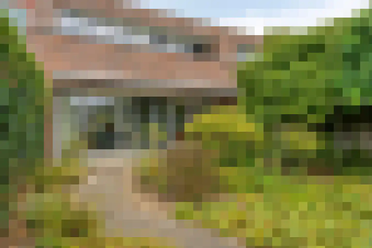 Berghallee 10 Duiven thumbnail 23