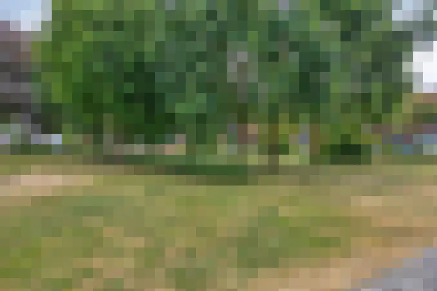 Berghallee 10 Duiven thumbnail 33