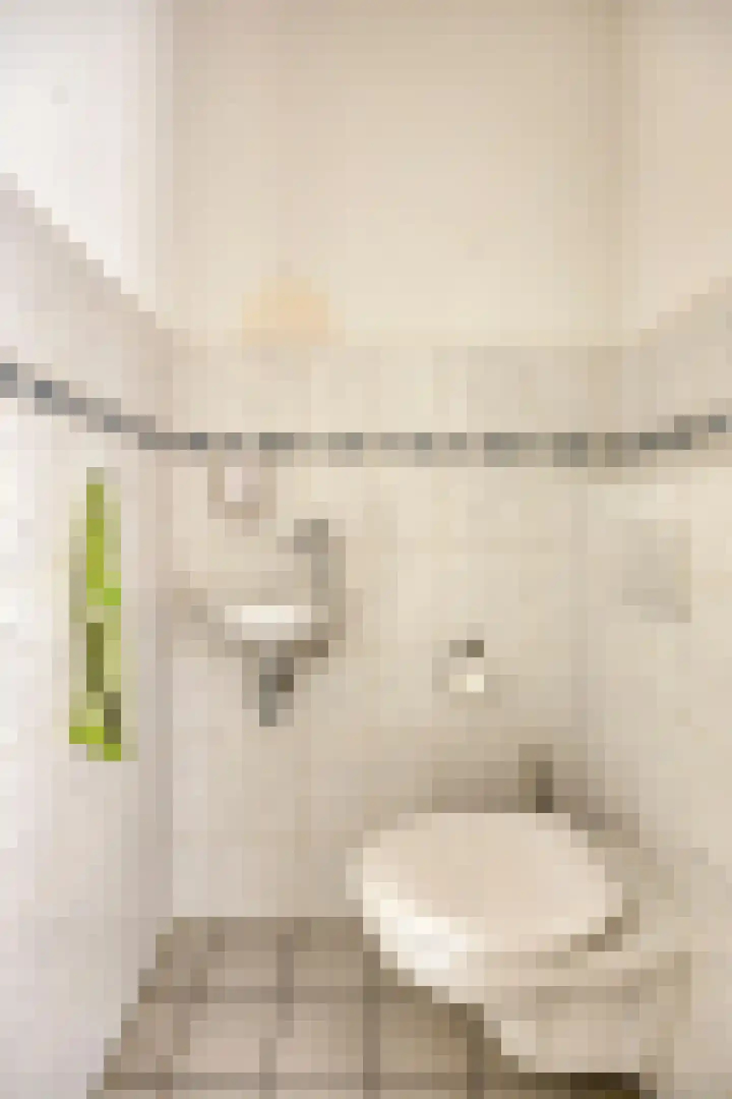 Berghallee 10 Duiven thumbnail 7