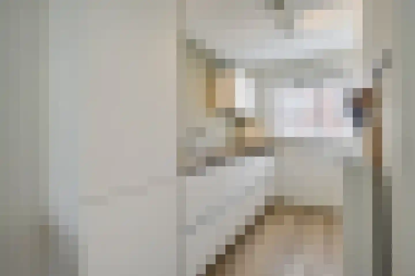 Berghallee 11 Duiven thumbnail 17
