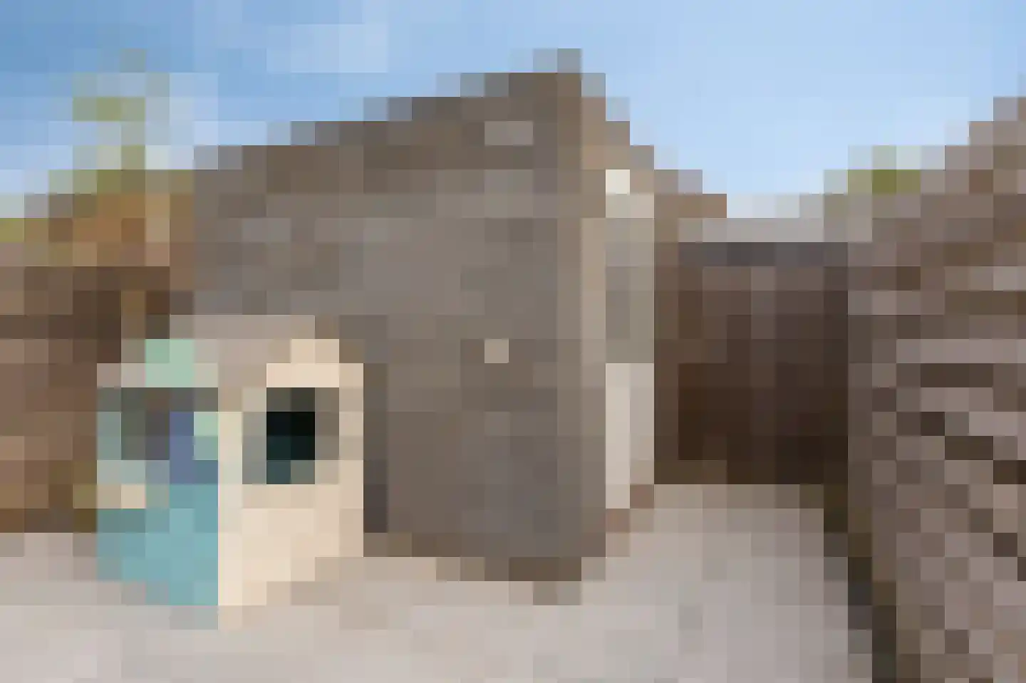 Berghallee 11 Duiven thumbnail 43