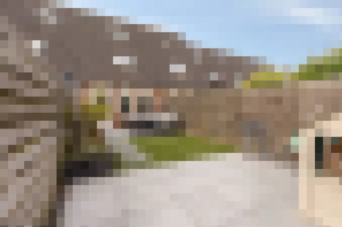 Berghallee 11 Duiven thumbnail 44