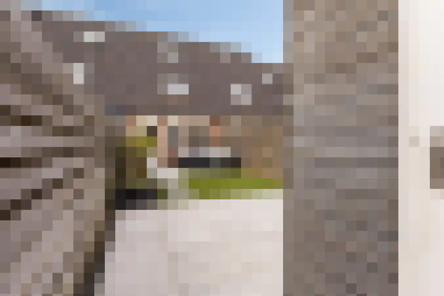Berghallee 11 Duiven thumbnail 46