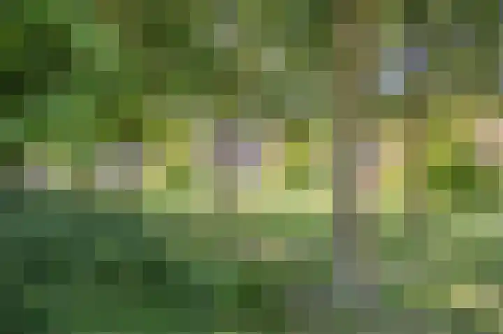 Berghallee 14 Duiven thumbnail 35