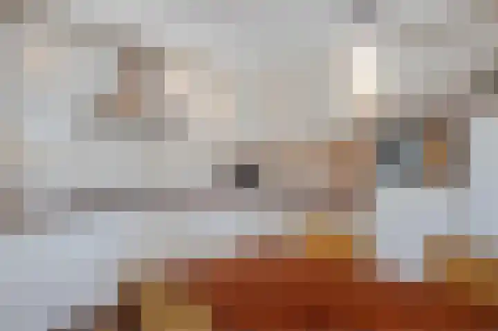 Berghallee 14 Duiven thumbnail 8