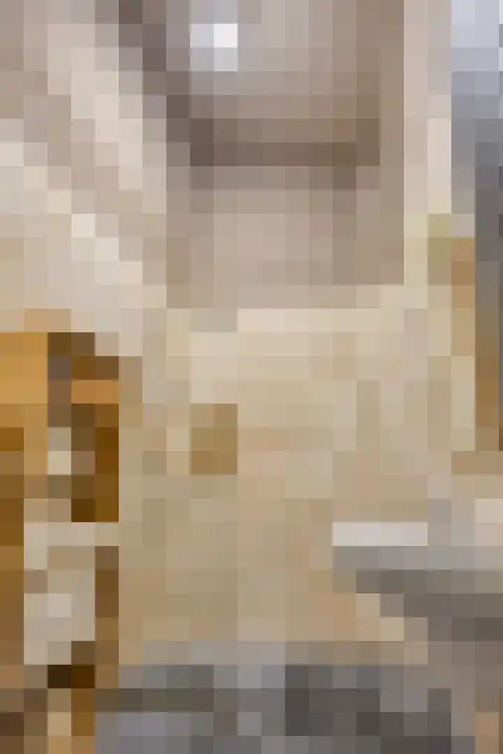Berghallee 42 Duiven thumbnail 34