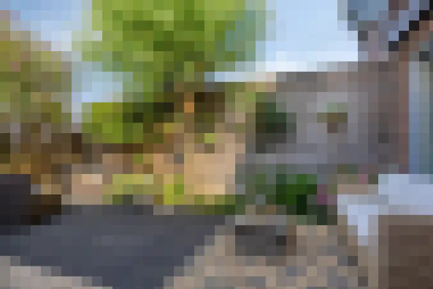 Berghallee 50 Duiven thumbnail 16