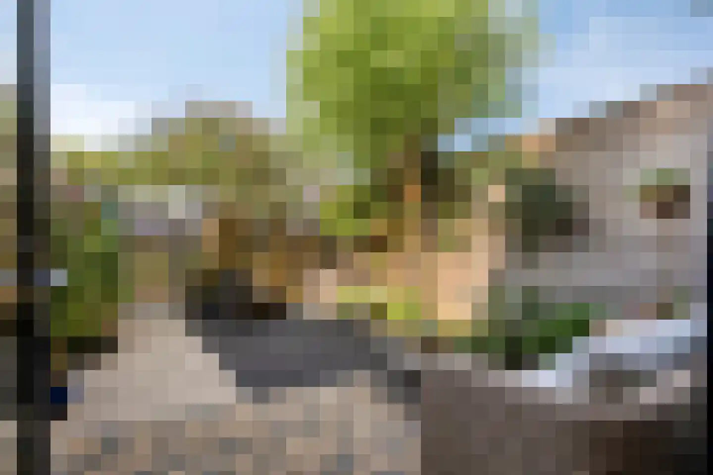 Berghallee 50 Duiven thumbnail 4