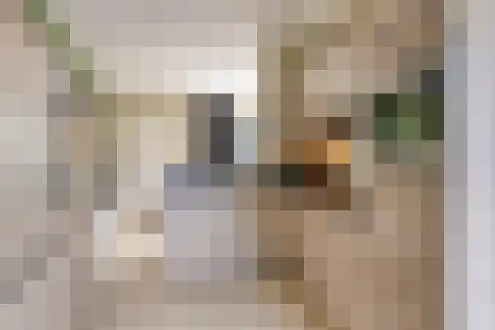 Berghallee 76 Duiven thumbnail 4