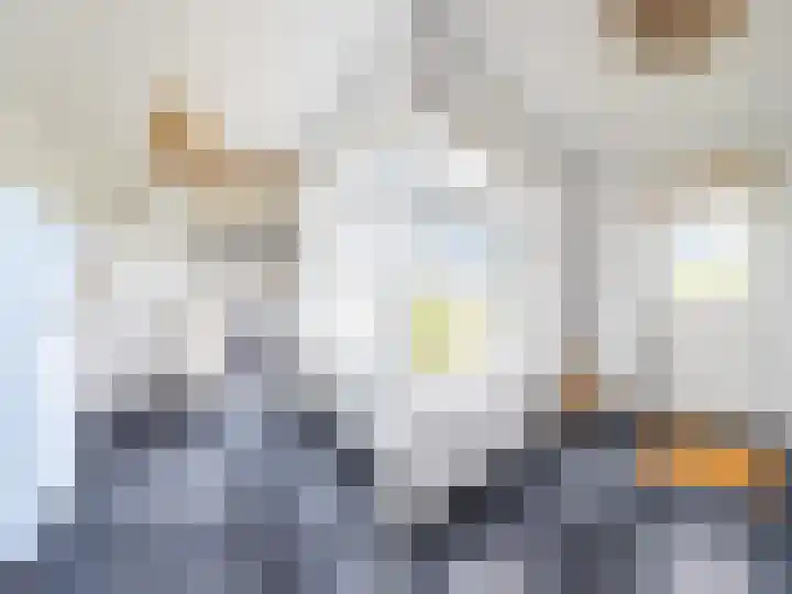 Berghegelaan 16 Zutphen thumbnail 15