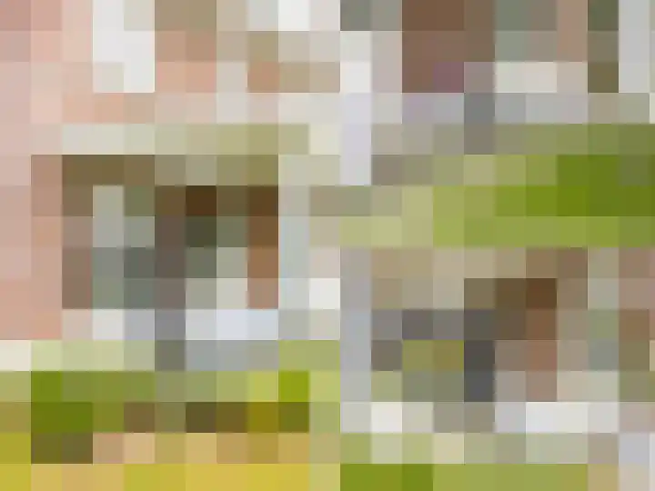 Berghegelaan 16 Zutphen thumbnail 37