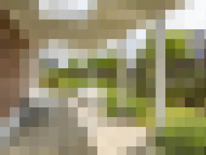 Berghegelaan 16 Zutphen thumbnail 38