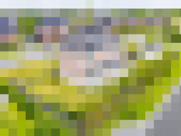 Berghegelaan 16 Zutphen thumbnail 49