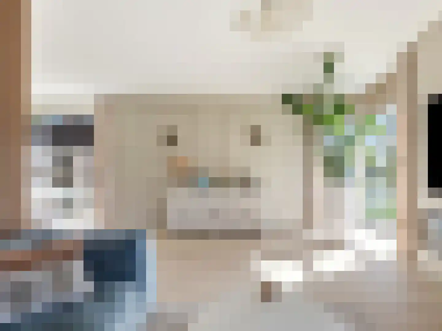 Berghegelaan 57 Zutphen thumbnail 10