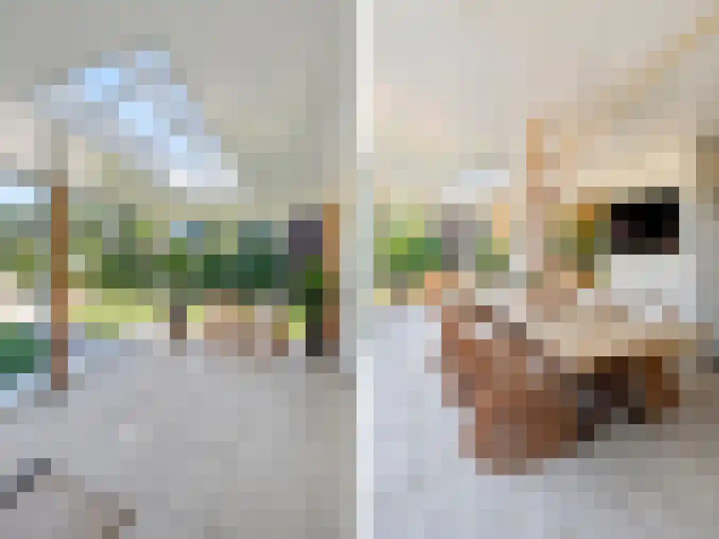 Berghegelaan 57 Zutphen thumbnail 35
